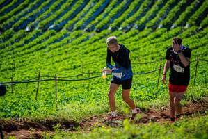 BIB: 3026
                            <button type="button" onclick="openModal(19161390)" class="btn btn-primary btn-sm float-right btn-popup" data-toggle="modal" data-target=".modal-high-quality">
                        <i class="fas fa-shopping-cart"></i> Add to Cart
                    </button>
                                            <button type="button" onclick="isThisMe(19161390, true)" class="btn btn-success btn-sm float-right btn-popup btn-isme hidden" data-toggle="tooltip" data-placement="bottom" title="นี่คือรูปของคุณใช่ไหม คลิกที่นี่เพื่อเอาเข้าอัลบั้ม">
                        <i class="fas fa-plus"></i> Add to album
                    </button>
                    <button type="button" onclick="isThisMe(19161390, false)" class="btn btn-warning btn-sm float-right btn-popup btn-isnotme hidden">
                        <i class="fas fa-ban"></i> Remove from album
                    </button>